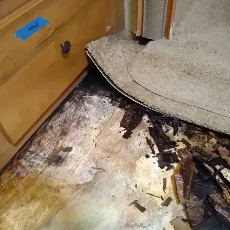 Wood Floor Water Damage in Great Falls, VA